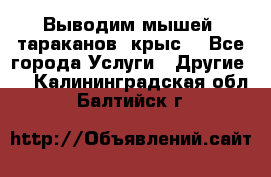 Выводим мышей ,тараканов, крыс. - Все города Услуги » Другие   . Калининградская обл.,Балтийск г.